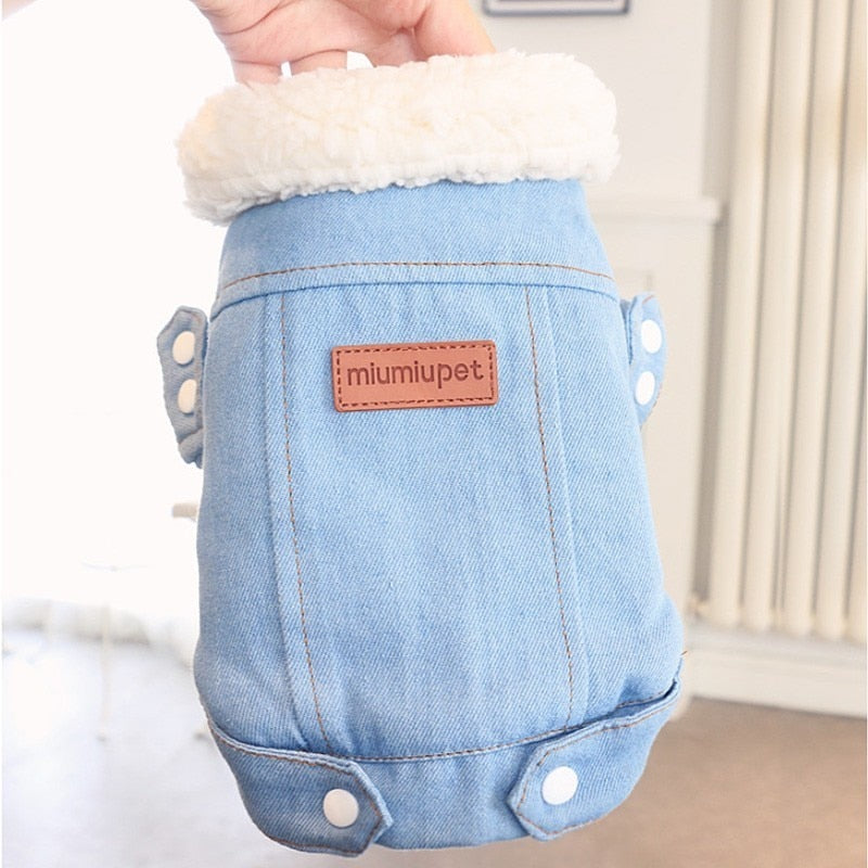 Luxury Denim Style Dog Jacket