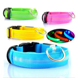 Led Pet Collar