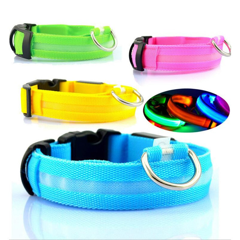 Led Pet Collar