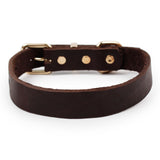 Top Grade Leather Dog Collar - Alloy Buckle