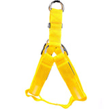 LED Safety Harness