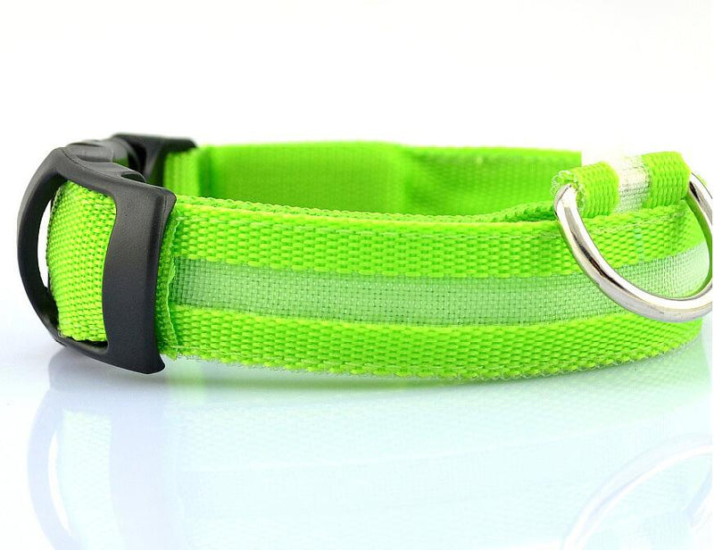 Led Pet Collar