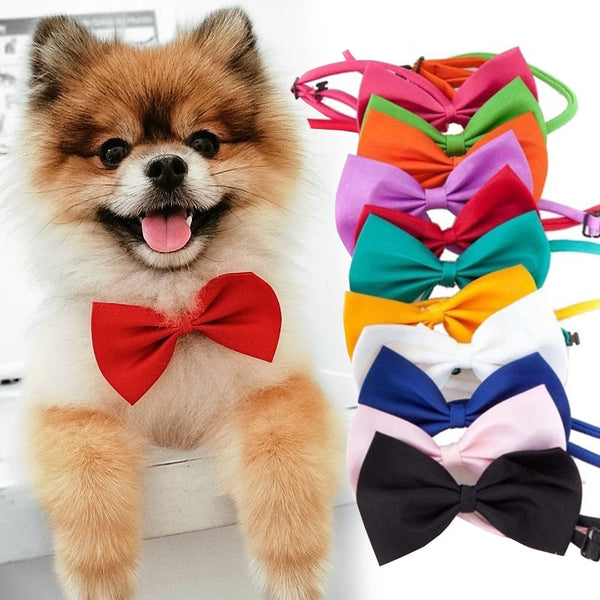 Pet Bow Tie