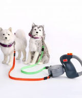 2 in 1 Dog Leash