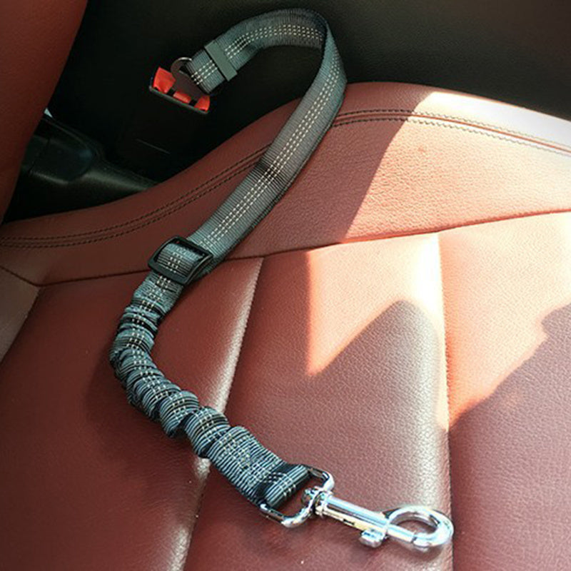 Dog Seat Belt