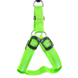 LED Safety Harness