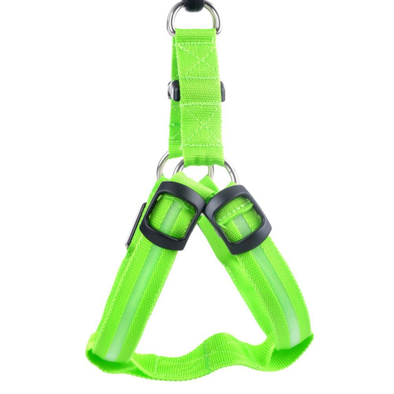 LED Safety Harness