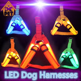 LED Safety Harness