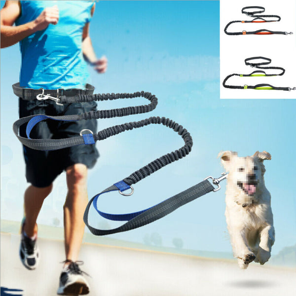 Reflective Bungee Rope Dog Leash