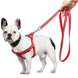 Reflective Dog Leash & Harness Set