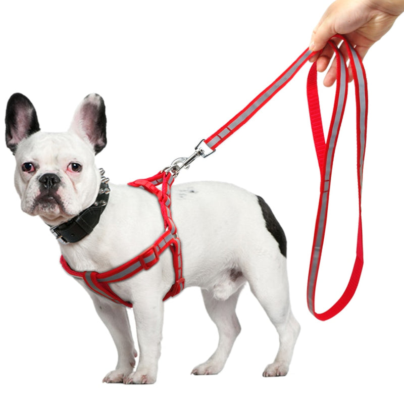 Reflective Dog Leash & Harness Set