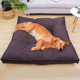 Soft And Warm Sofa Cushion Bed