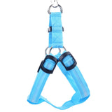 LED Safety Harness