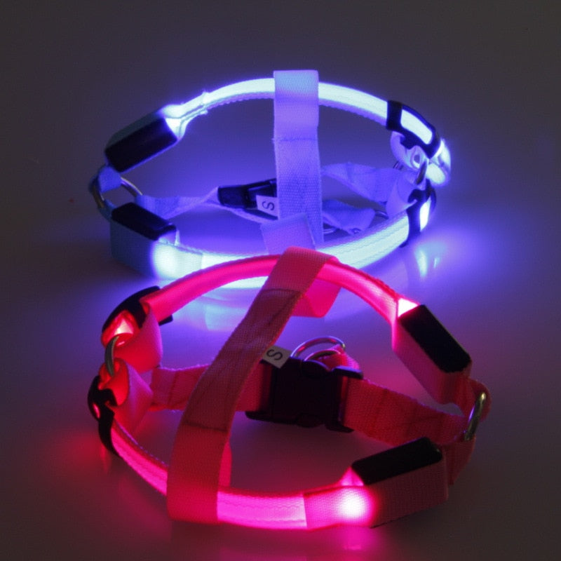 LED Safety Harness