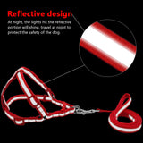 Reflective Dog Leash & Harness Set