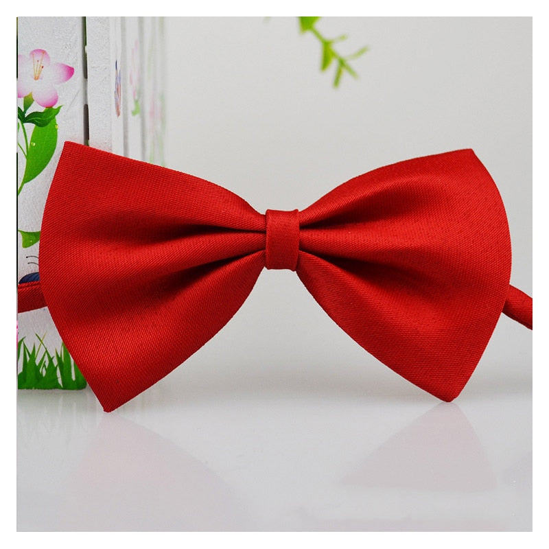 Pet Bow Tie