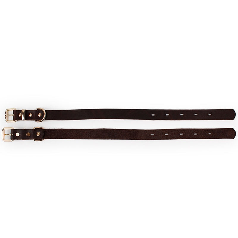 Top Grade Leather Dog Collar - Alloy Buckle