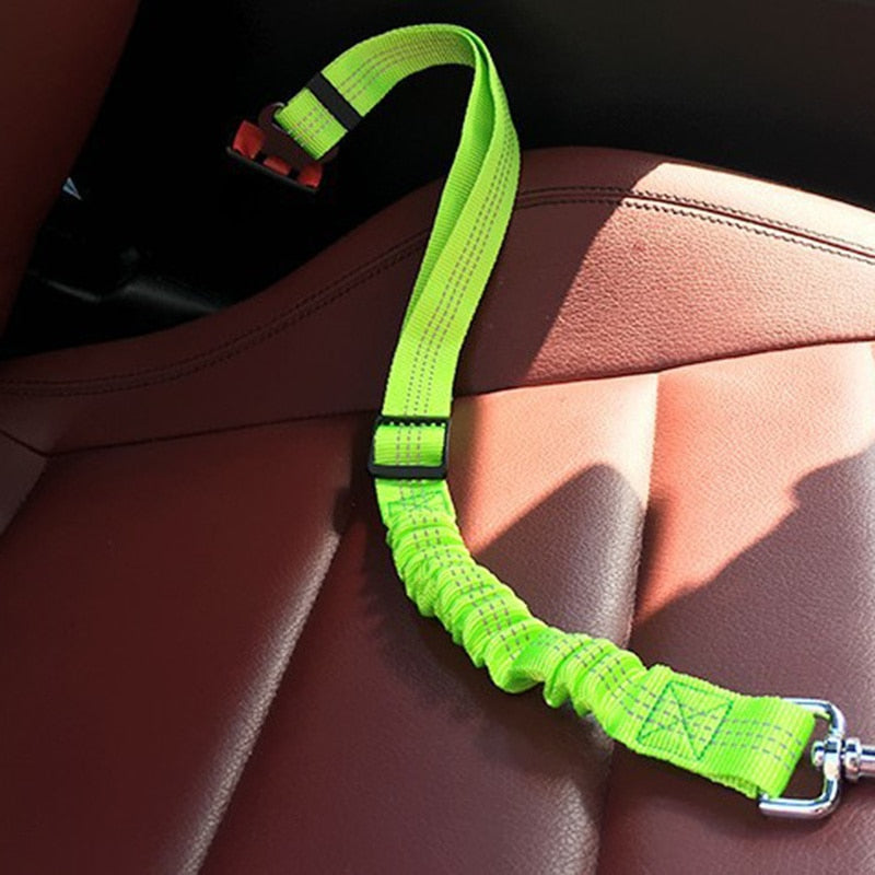 Dog Seat Belt