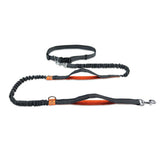 Reflective Bungee Rope Dog Leash