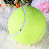 Giant Tennis Ball Toy