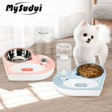 Automatic Water Dispenser & Food Bowl