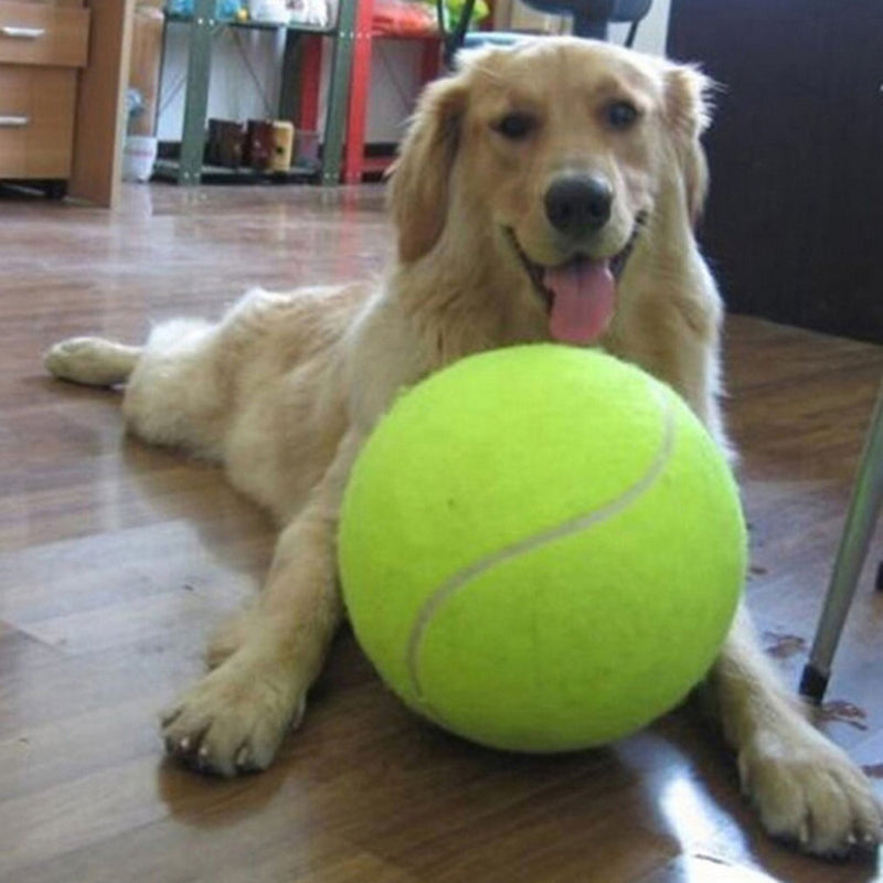 Giant Tennis Ball Toy