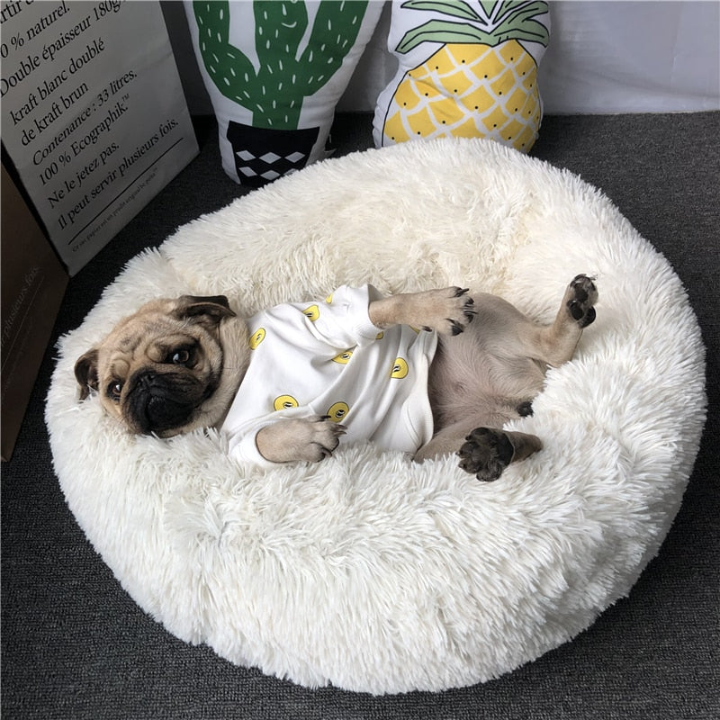 Super Soft Pet Bed