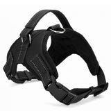 Quick Release Dog Harness