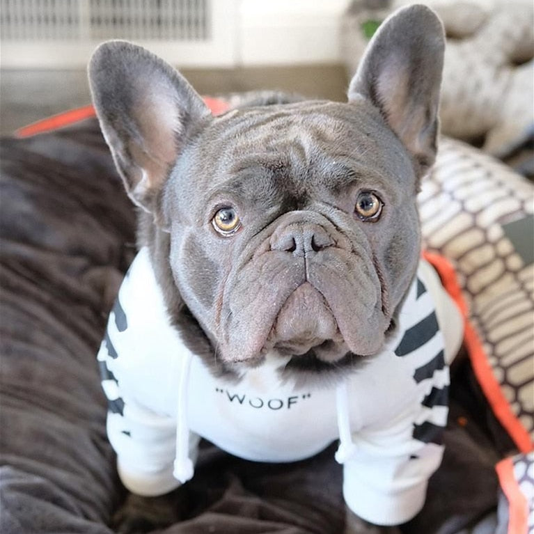 Dog Hoodie