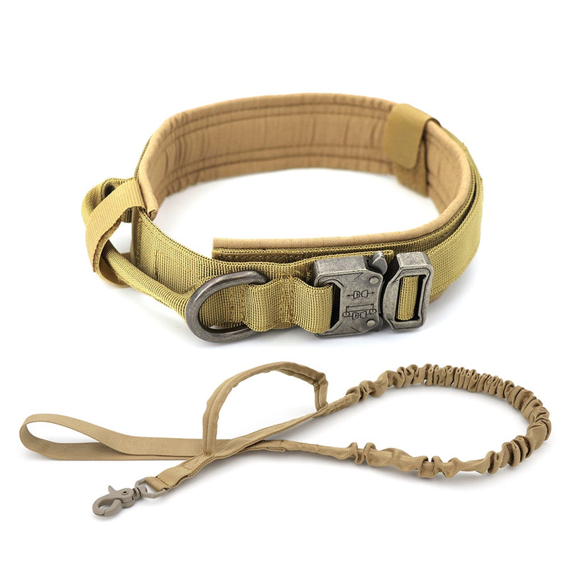 Heavy Duty Dog Collar & Leash