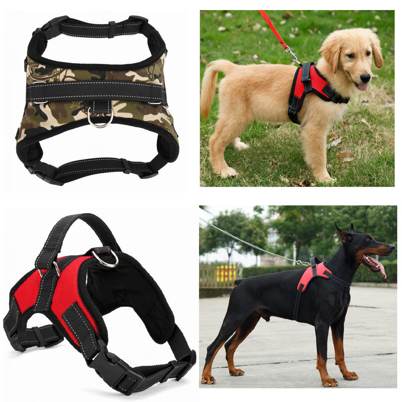 Quick Release Dog Harness