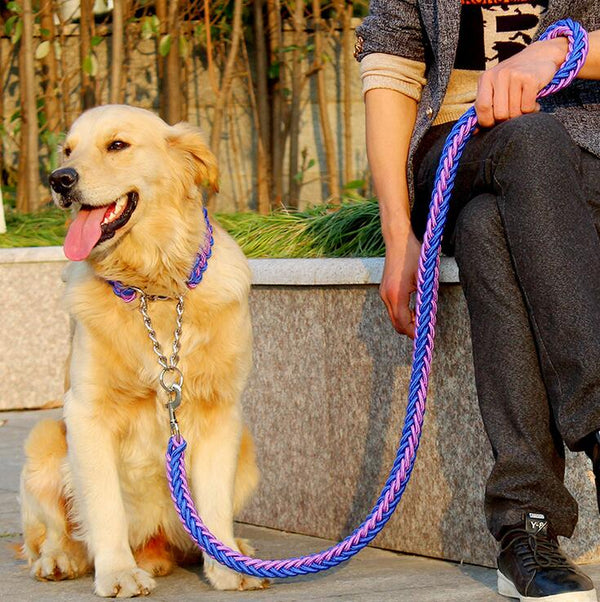 Extra Thick Rope Large Dog Leash & Collar