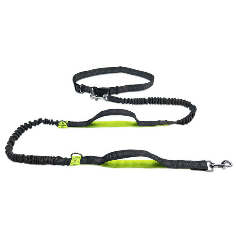 Reflective Bungee Rope Dog Leash