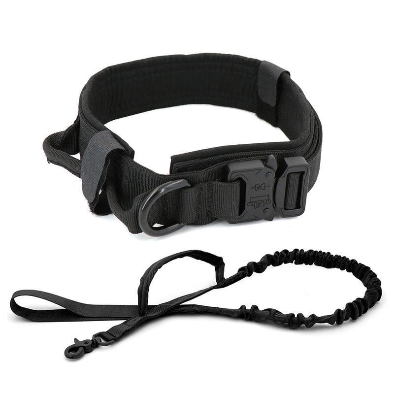 Heavy Duty Dog Collar & Leash