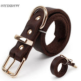 Top Grade Leather Dog Collar - Alloy Buckle