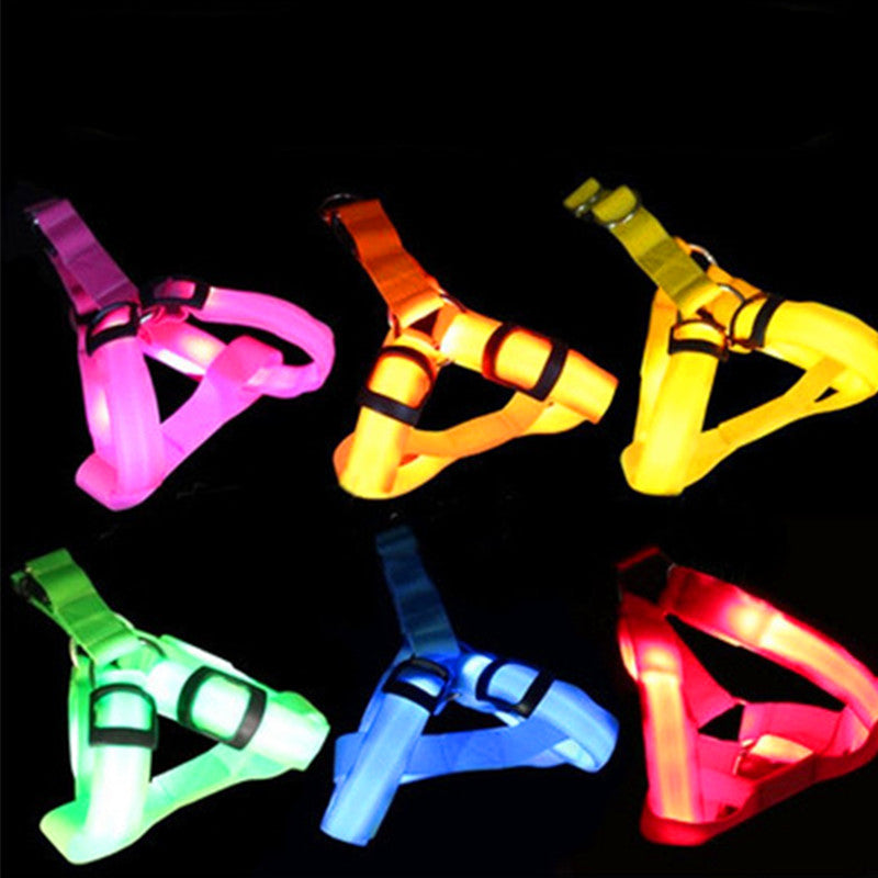 LED Safety Harness