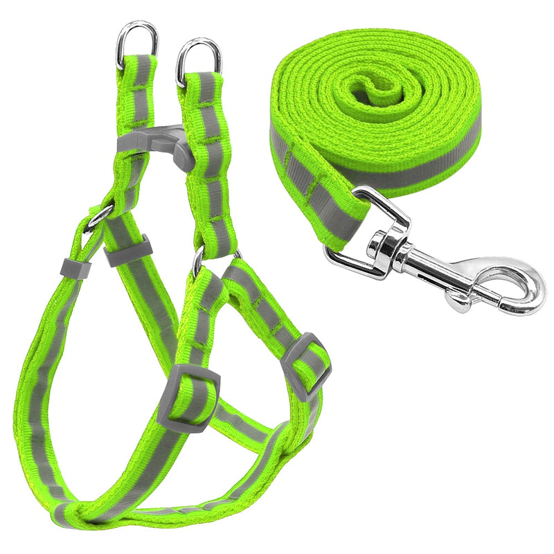 Reflective Dog Leash & Harness Set