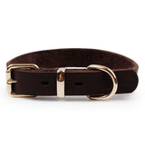 Top Grade Leather Dog Collar - Alloy Buckle