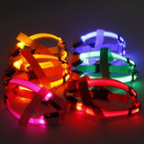 LED Safety Harness