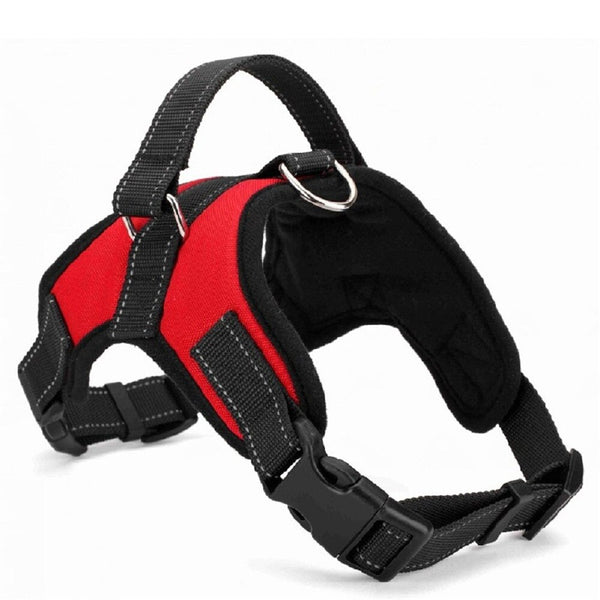 Quick Release Dog Harness