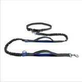 Reflective Bungee Rope Dog Leash