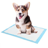 Super Absorbent Pet Training Toilet Pads