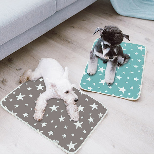 Absorbent Training Mat