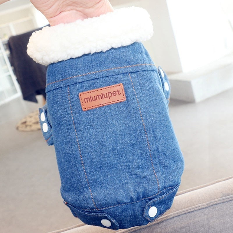 Luxury Denim Style Dog Jacket