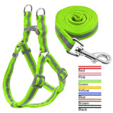 Reflective Dog Leash & Harness Set