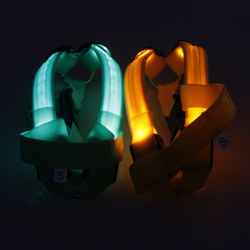 LED Safety Harness