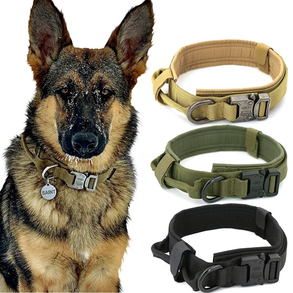 Heavy Duty Dog Collar & Leash