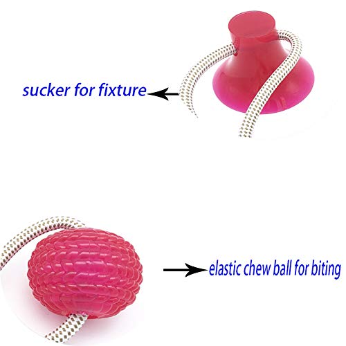 Suction cup dog push toy Interactive fun Pet toy with TPR ball