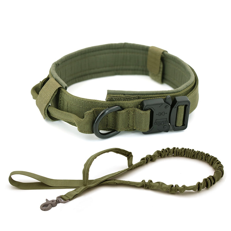 Heavy Duty Dog Collar & Leash