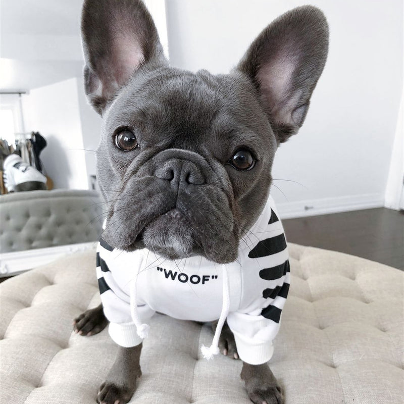 Dog Hoodie